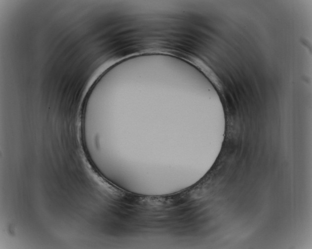 X0000098120955200804251449