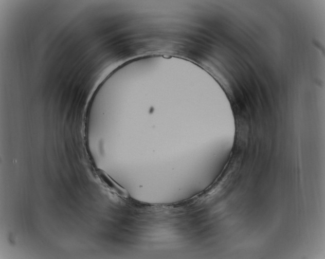 X0000098120956200804251449