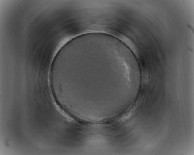 X0000098120958200804251449