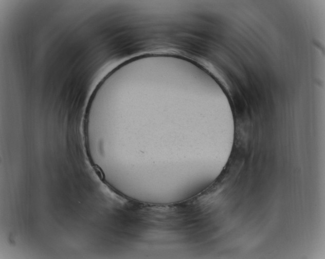 X0000098120959200804251449