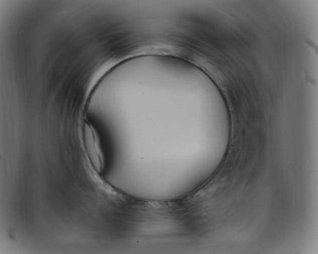 X0000098120960200804251449