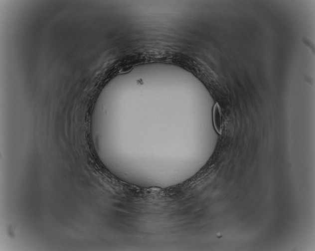 X0000098120961200804251448