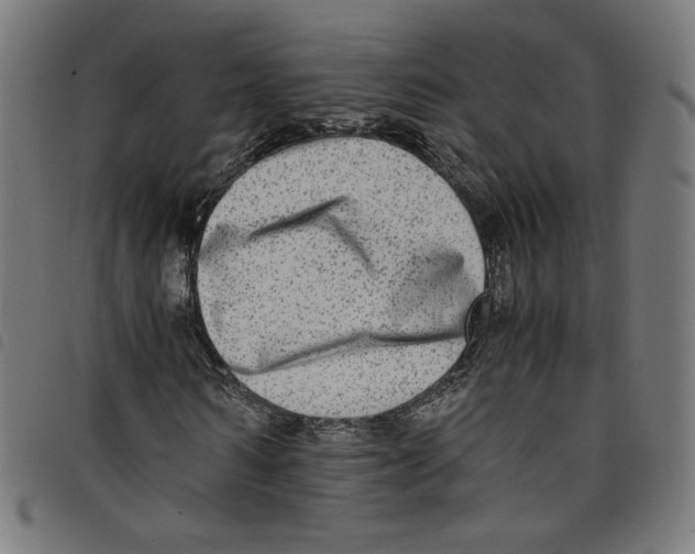 X0000098120962200804251448