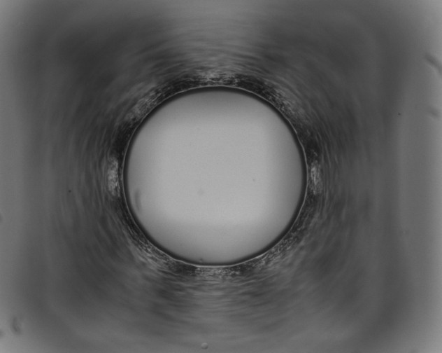 X0000098120963200804251448