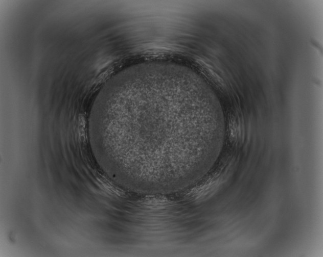 X0000098120964200804251448
