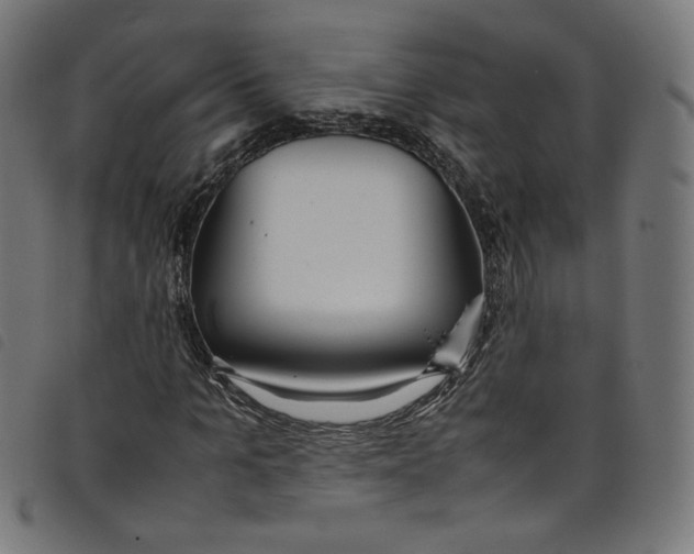 X0000098120965200804251448
