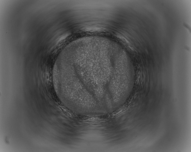 X0000098120966200804251448