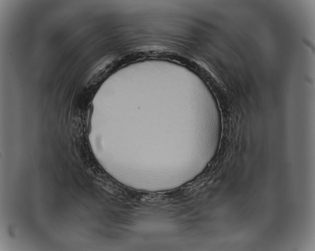 X0000098120967200804251448
