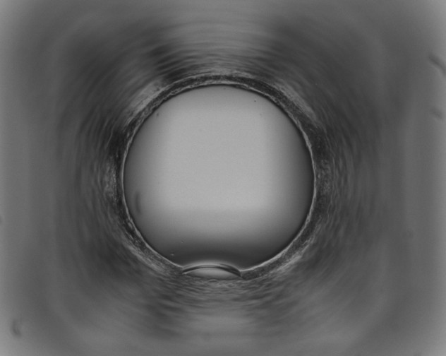 X0000098120969200804251448