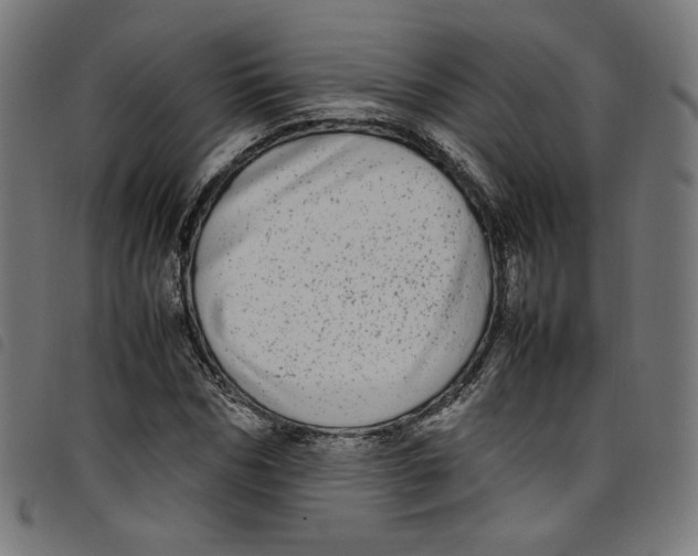 X0000098120970200804251448