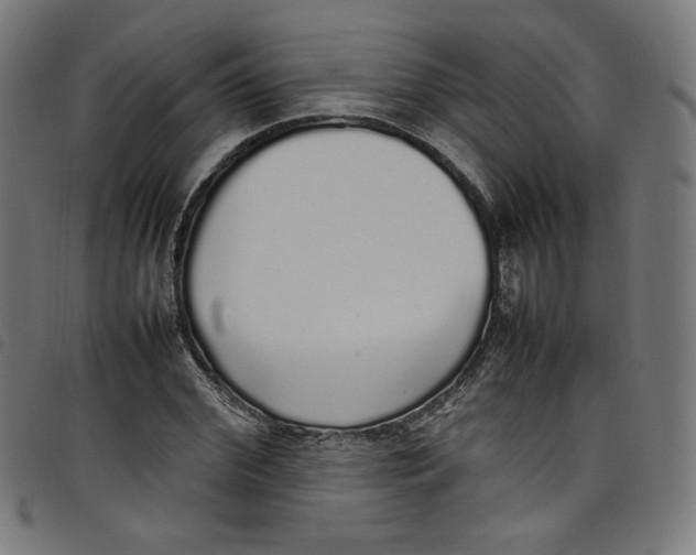 X0000098120972200804251448