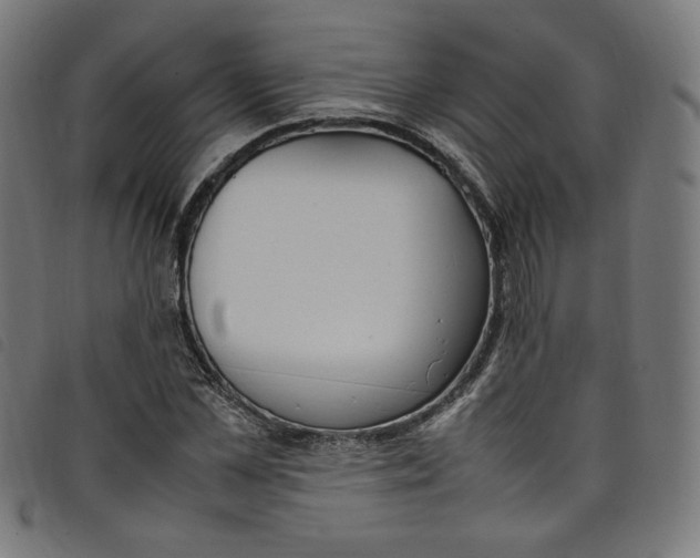 X0000098120973200804251448