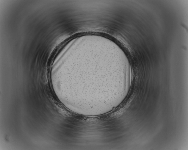 X0000098120974200804251448