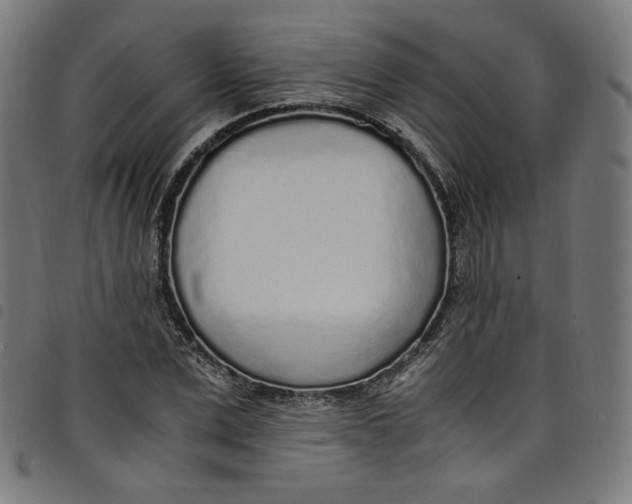 X0000098120975200804251448