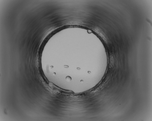 X0000098120976200804251448