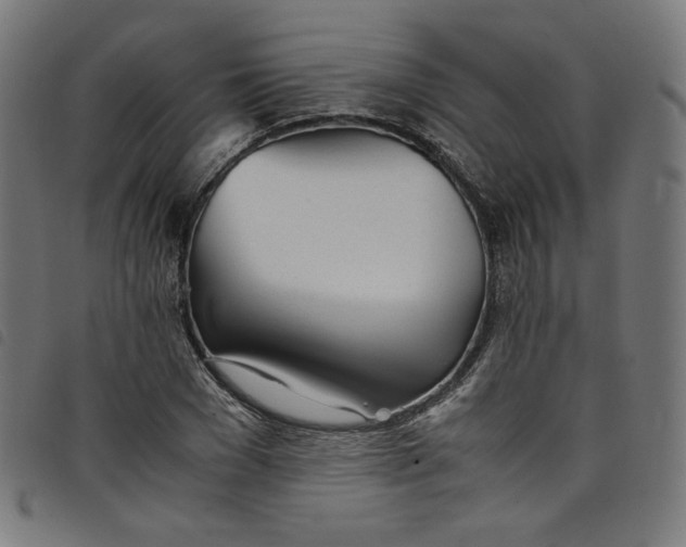 X0000098120977200804251448