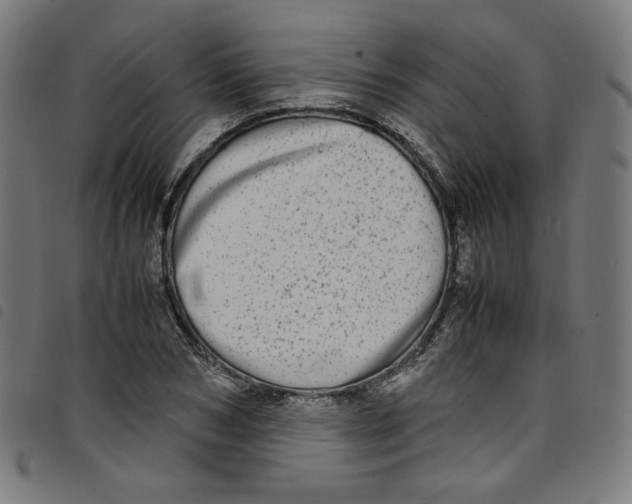 X0000098120978200804251448