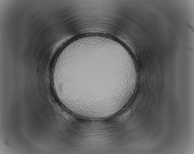 X0000098120979200804251448