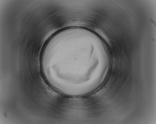 X0000098120980200804251448