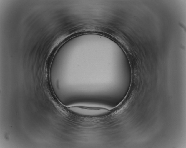 X0000098120981200804251448