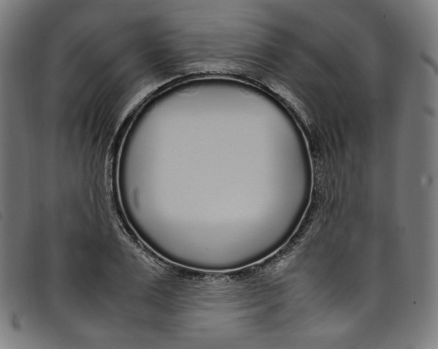 X0000098120983200804251448