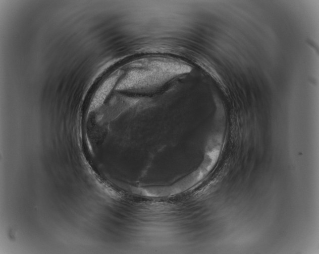 X0000098120984200804251448