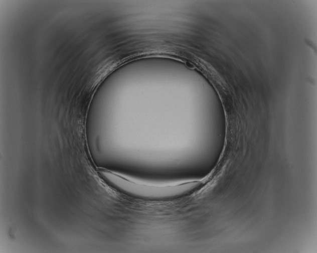 X0000098120985200804251448