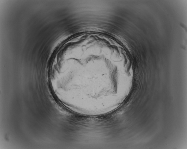 X0000098120987200804251448
