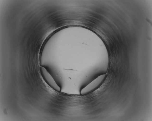 X0000098120988200804251448