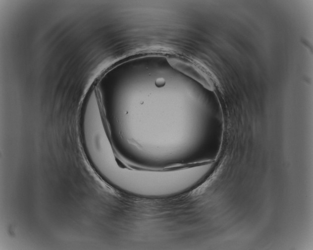 X0000098120989200804251448