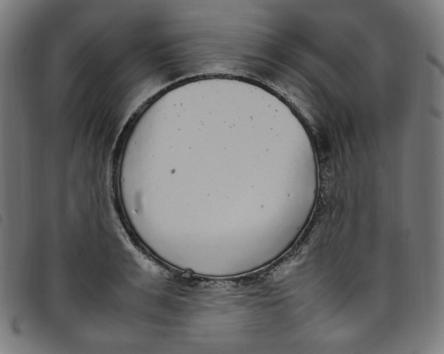 X0000098120991200804251448