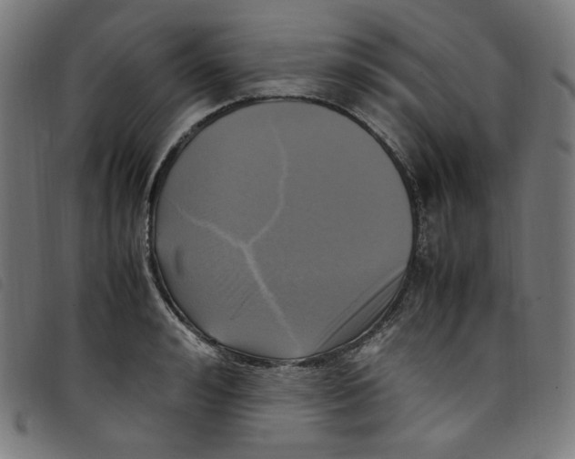 X0000098120992200804251448