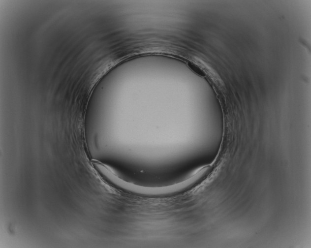 X0000098120993200804251448