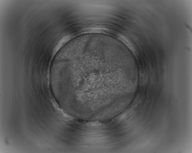X0000098120994200804251448