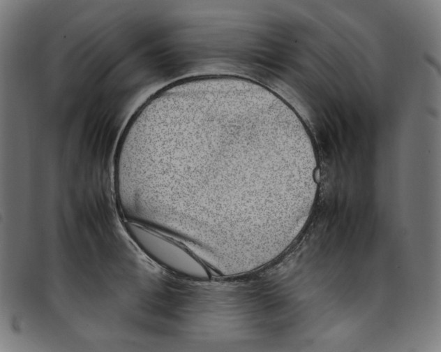 X0000098120996200804251448