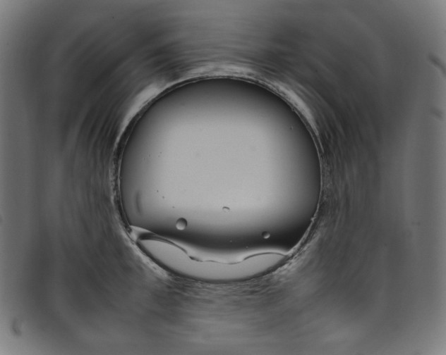 X0000098120997200804251447