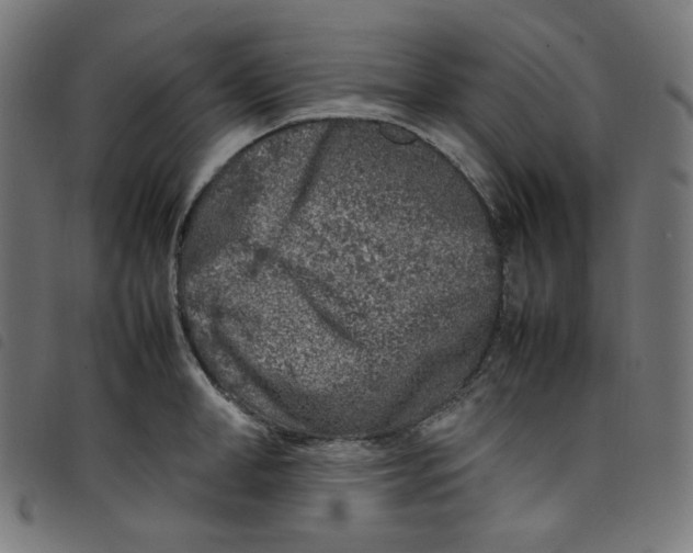 X0000098120998200804251447