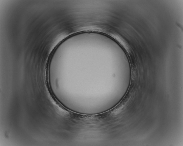 X0000098120999200804251447