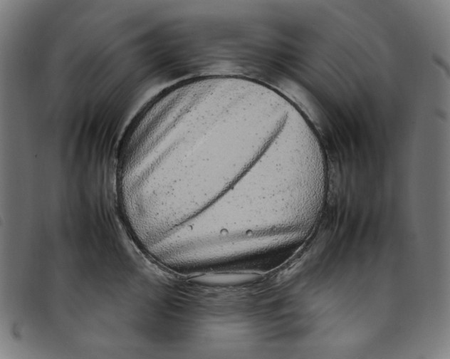 X0000098121000200804251447