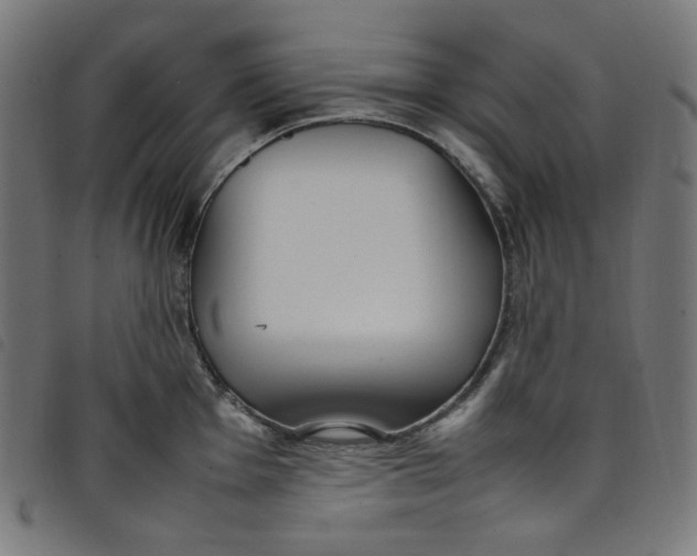 X0000098121001200804251447