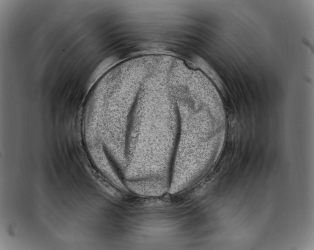 X0000098121002200804251447