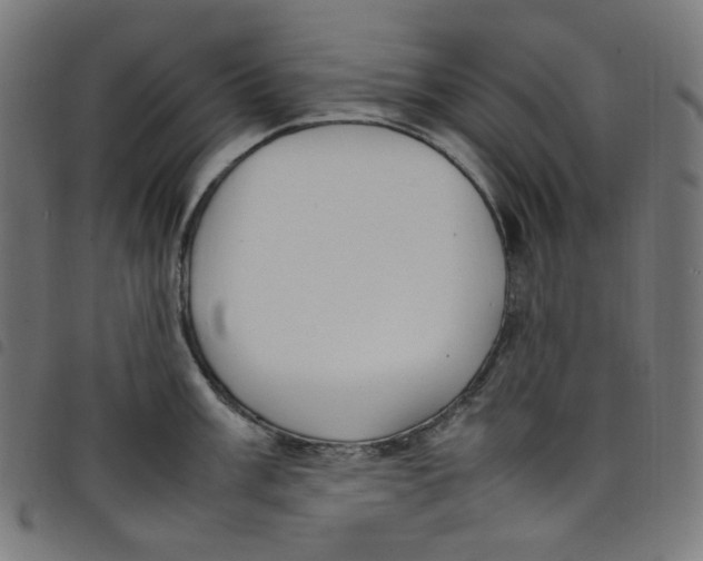 X0000098121003200804251447