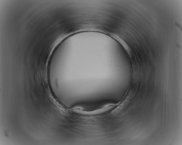 X0000098121004200804251447