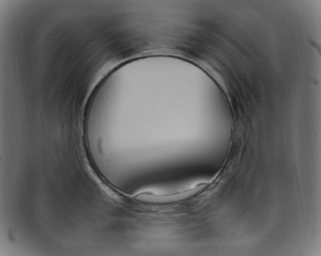 X0000098121005200804251447