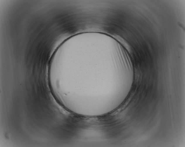 X0000098121006200804251447