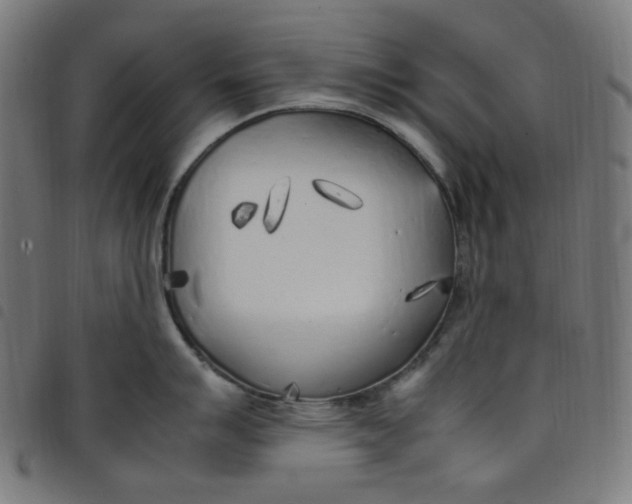 X0000098121007200804251447