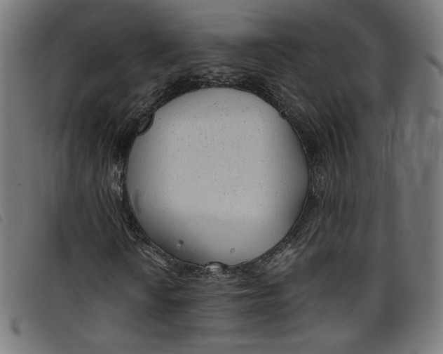 X0000098121010200804251447