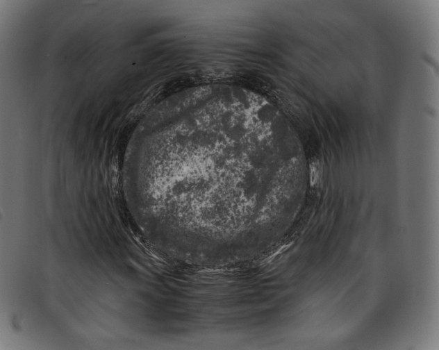 X0000098121011200804251447