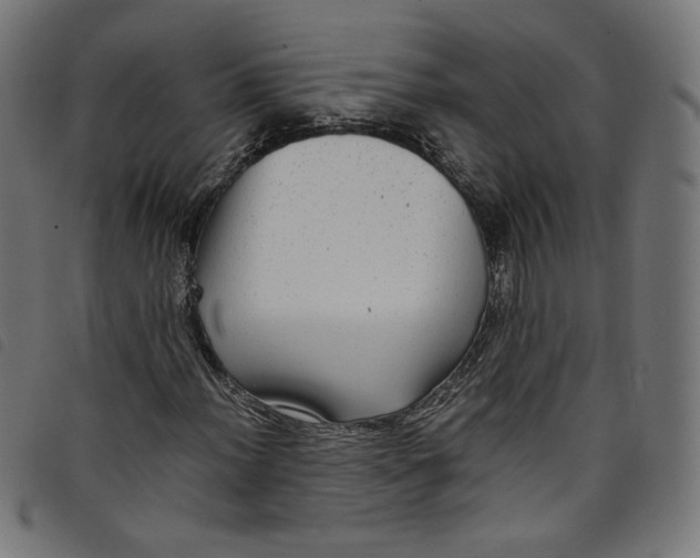 X0000098121012200804251447