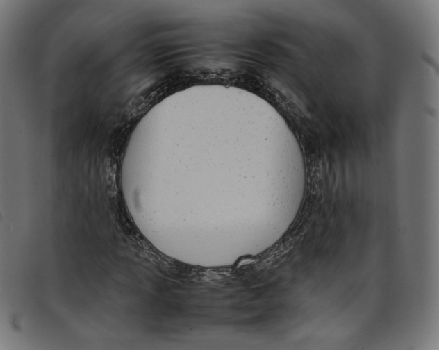 X0000098121013200804251447